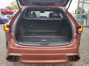 RX 500h F-Sport  Panorama  Mark Levinson