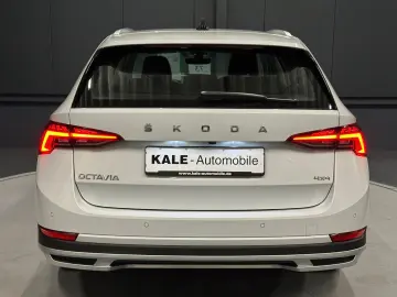 Octavia Combi Scout 4x4  19Zoll AHK Standhzg HUD