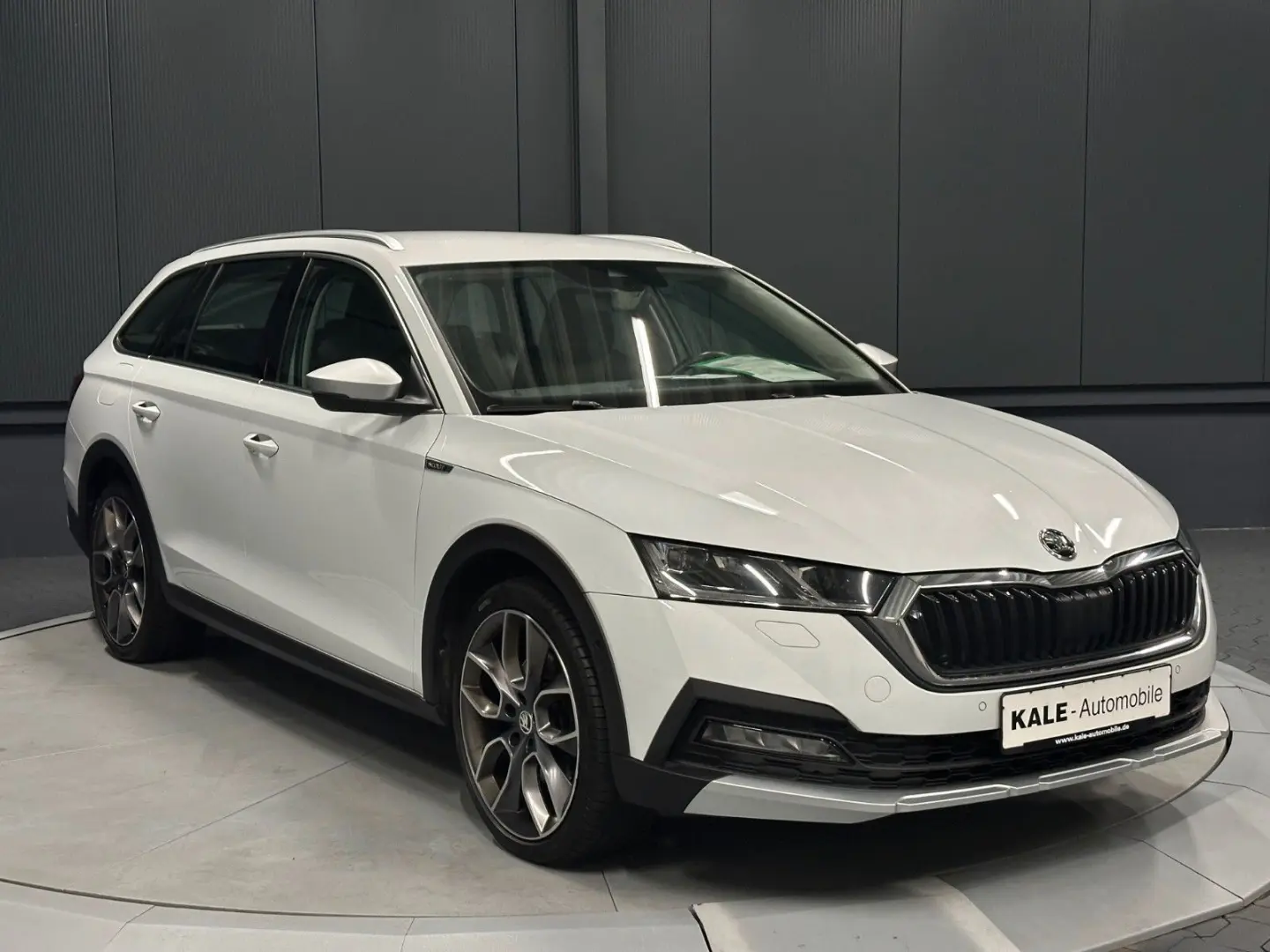 Octavia Combi Scout 4x4  19Zoll AHK Standhzg HUD