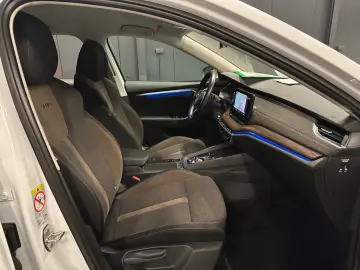 Octavia Combi Scout 4x4  19Zoll AHK Standhzg HUD