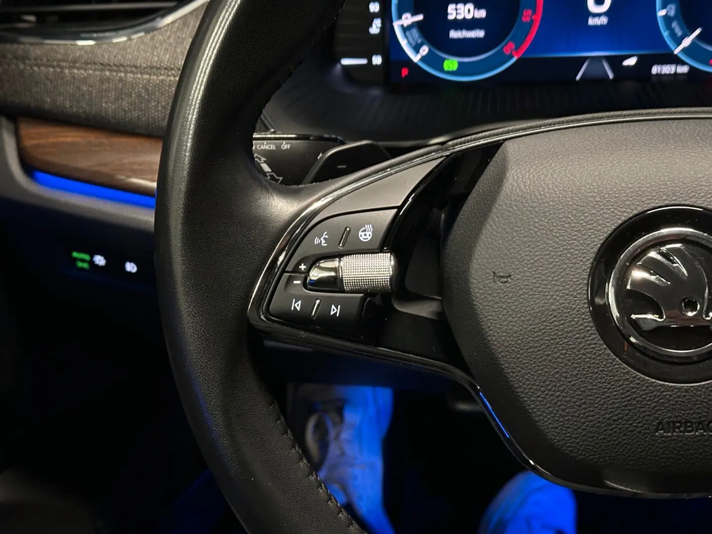 Octavia Combi Scout 4x4  19Zoll AHK Standhzg HUD