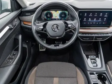 Octavia Combi Scout 2.0 TDI DSG 4x4 AHK  Navi