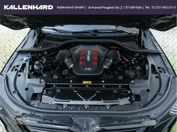 XM Label Red - Individual ''British Racing Green