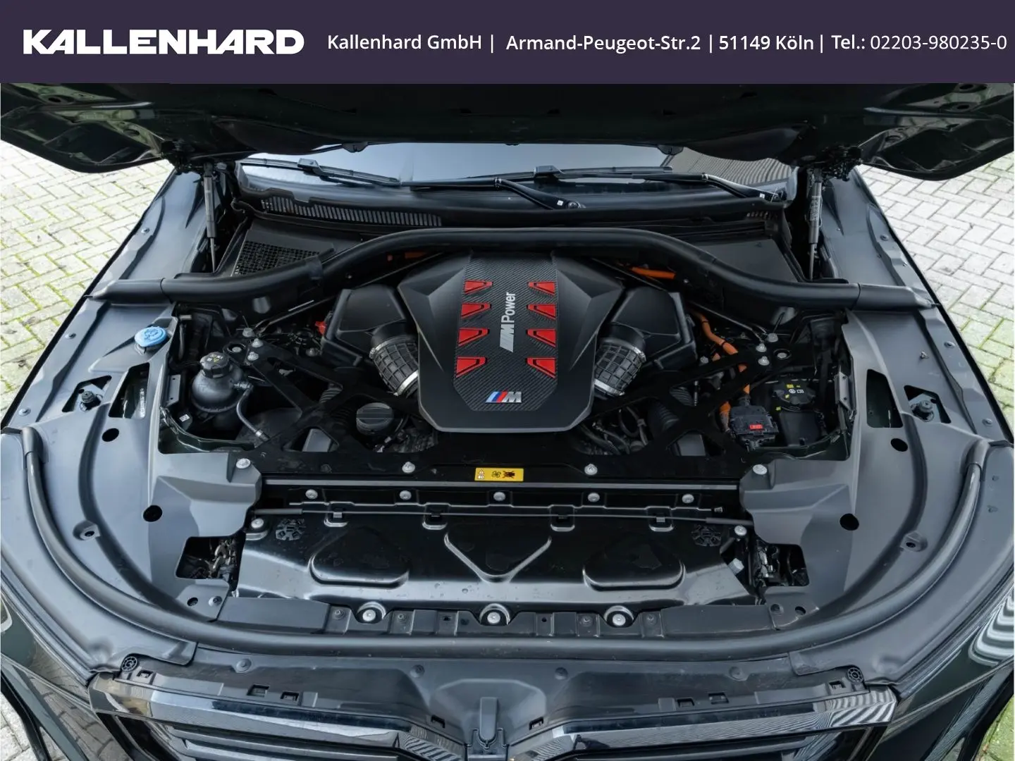 XM Label Red - Individual ''British Racing Green