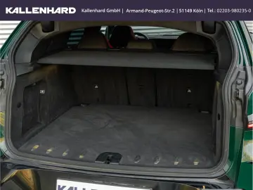 XM Label Red - Individual ''British Racing Green