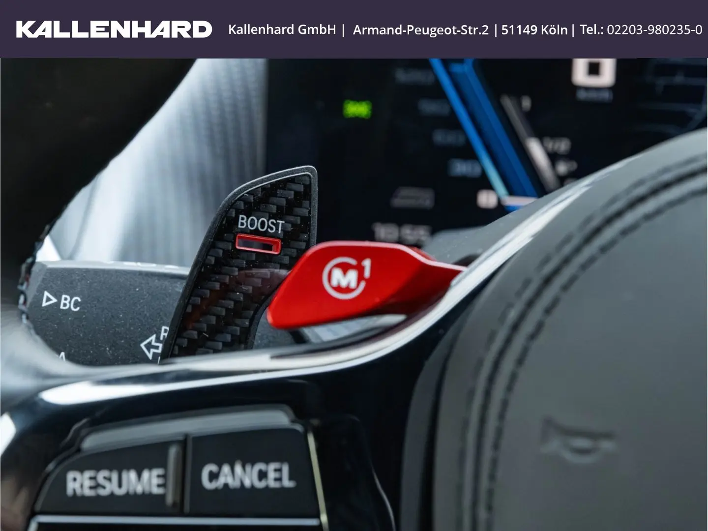 XM Label Red - Individual ''British Racing Green