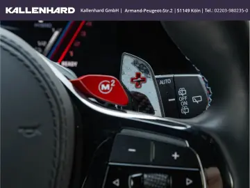 XM Label Red - Individual ''British Racing Green