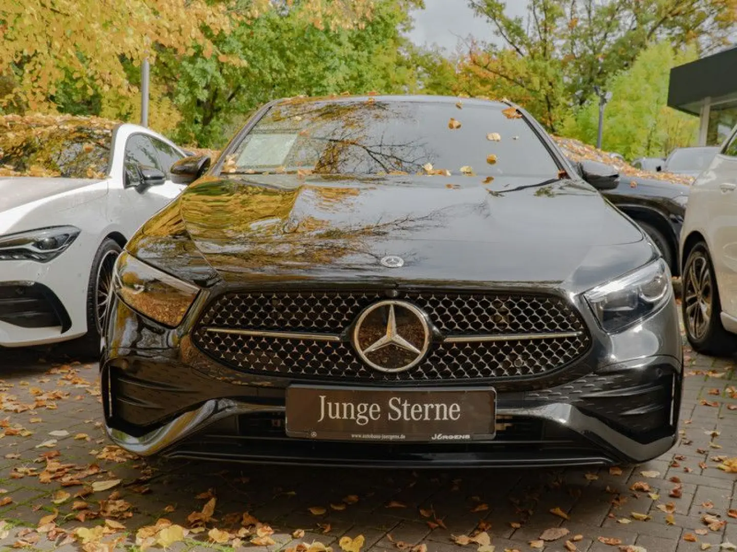 A 220 d AMG-Sport MLB Cam AHK Night Distr Winter