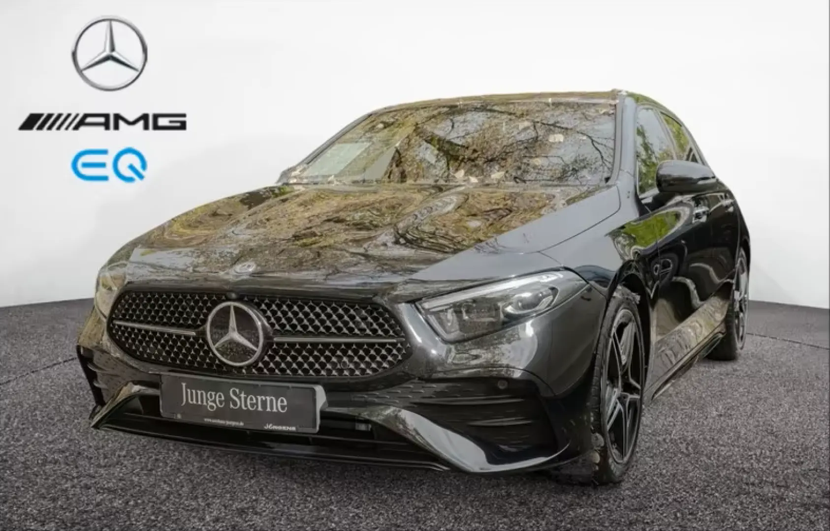 A 220 d AMG-Sport MLB Cam AHK Night Distr Winter