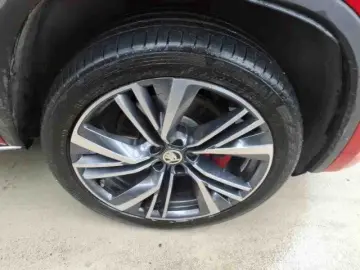 Kodiaq RS 2.0 TSI DSG 4x4 AHK PANO STDHZ ACC