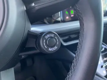 Cayenne E-Hybrid  BOSE  Panorama  Komfortsitz