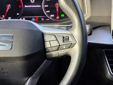 Tarraco FR 4Drive 360 Kam Acc Beats 20Zoll