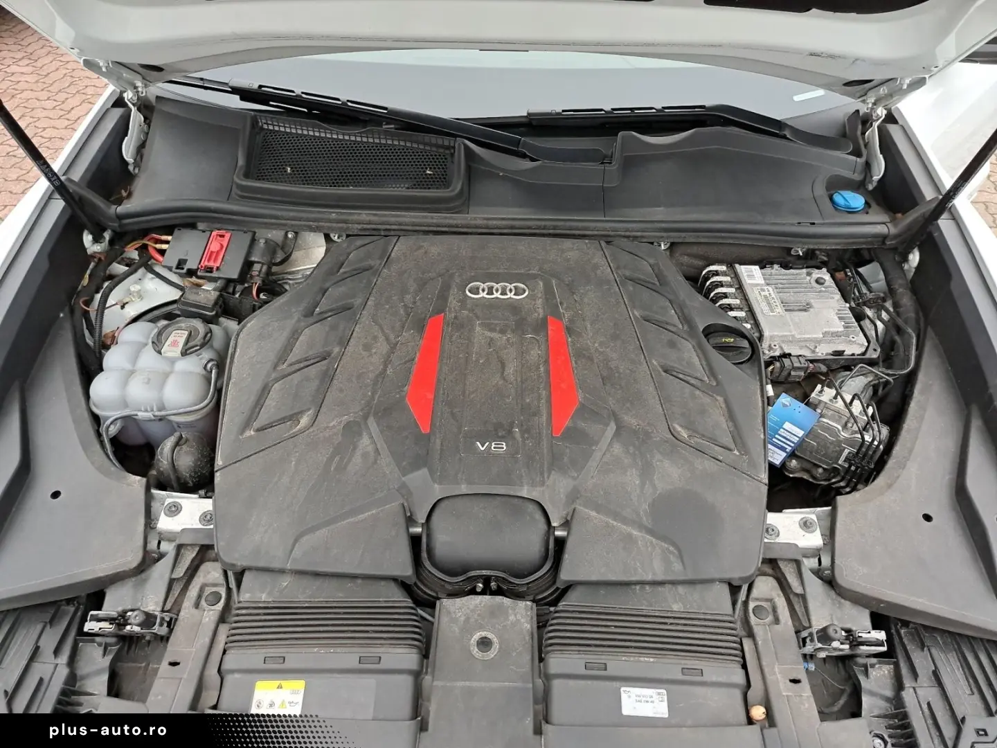 AUDI SQ8 competition plus 4.0 TFSI quattro