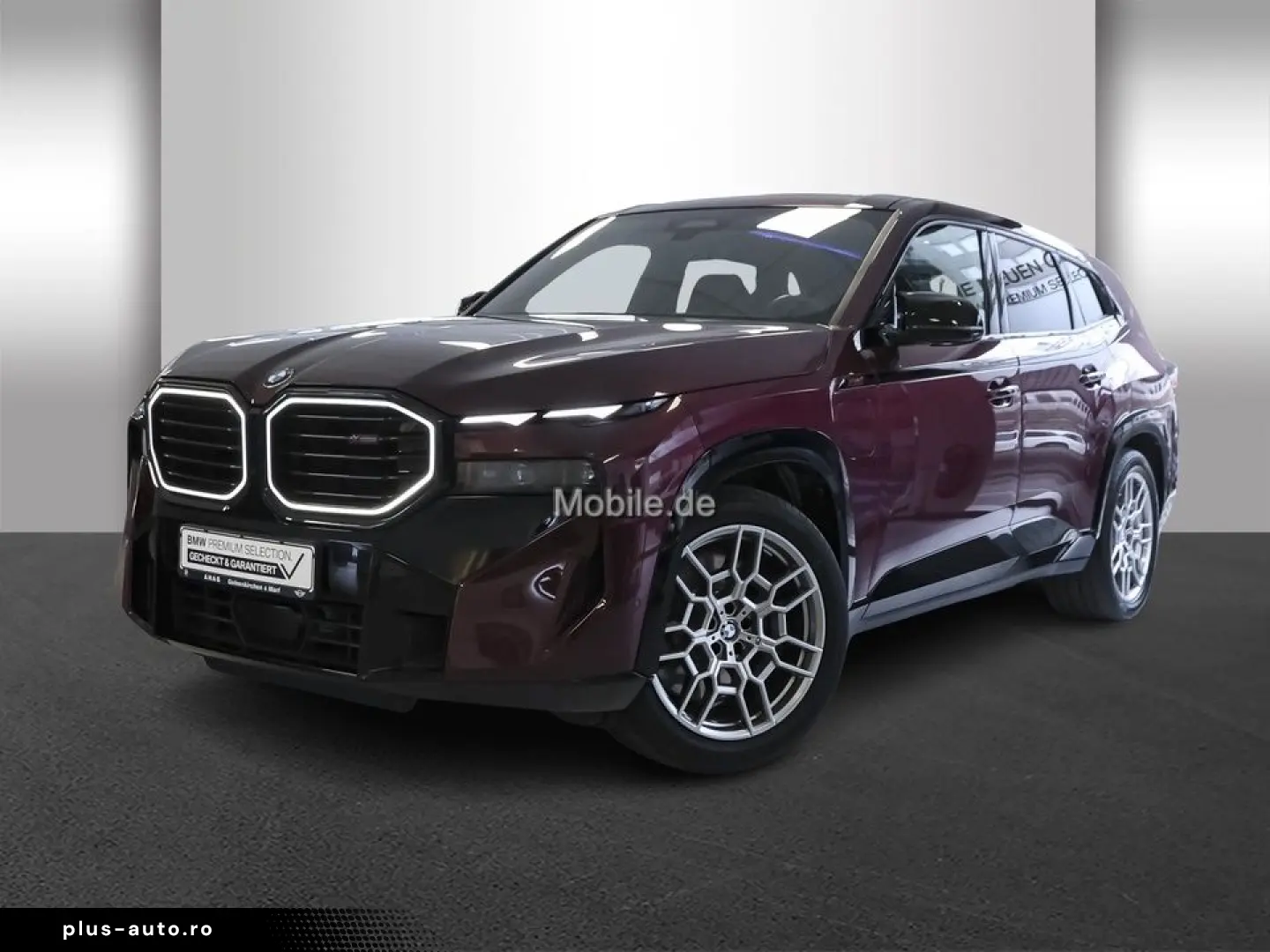 XM 4.4 Label Red Individual Lila UPE 220TEuro