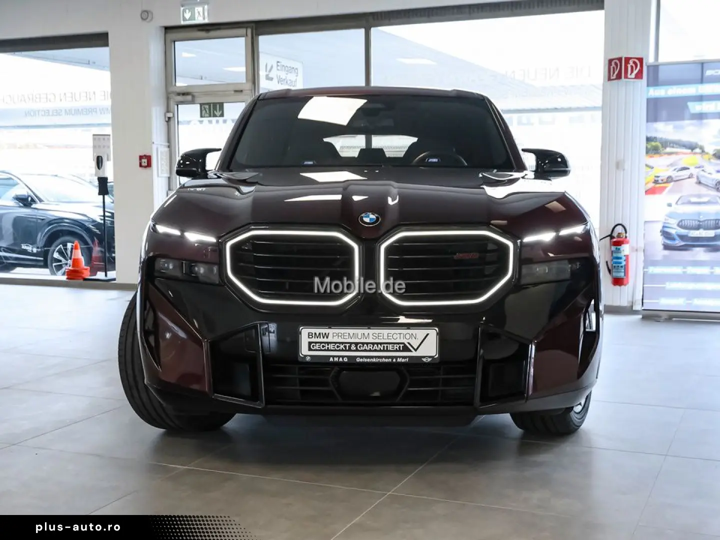 XM 4.4 Label Red Individual Lila UPE 220TEuro