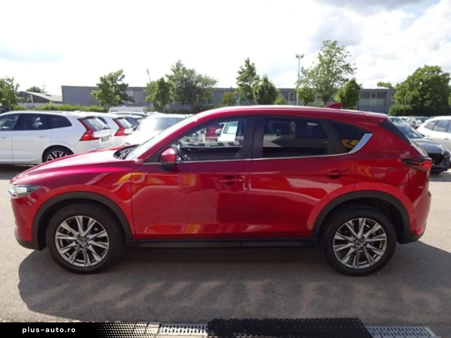 CX-5 D