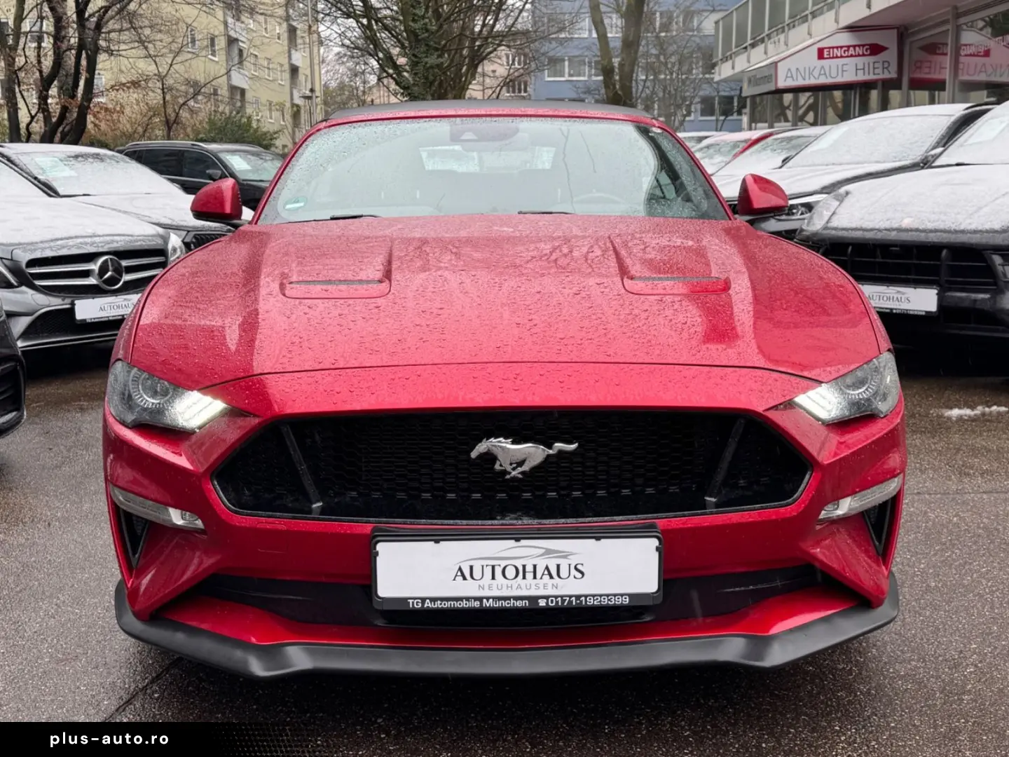 Mustang GT Convertible LED KAMERA LEDER Aut.
