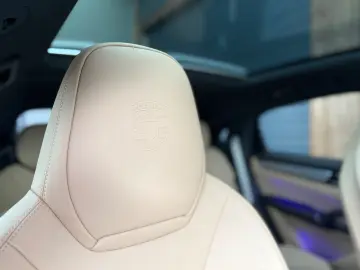 Cayenne Hybrid Platinum Edition