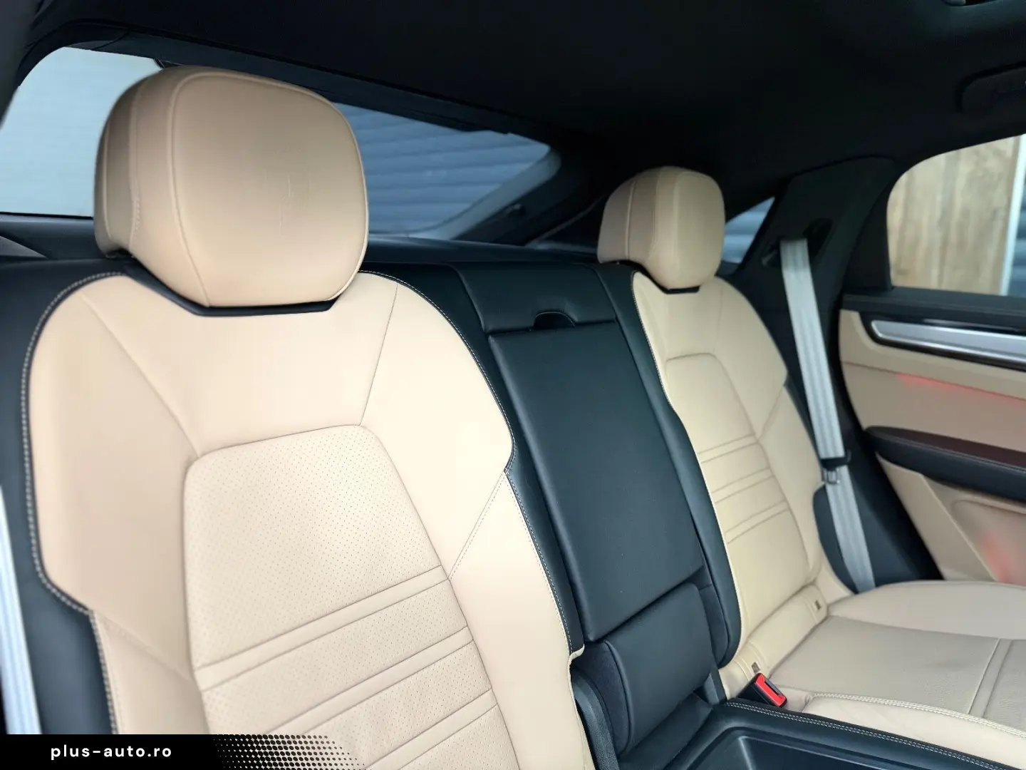 Cayenne Hybrid Platinum Edition