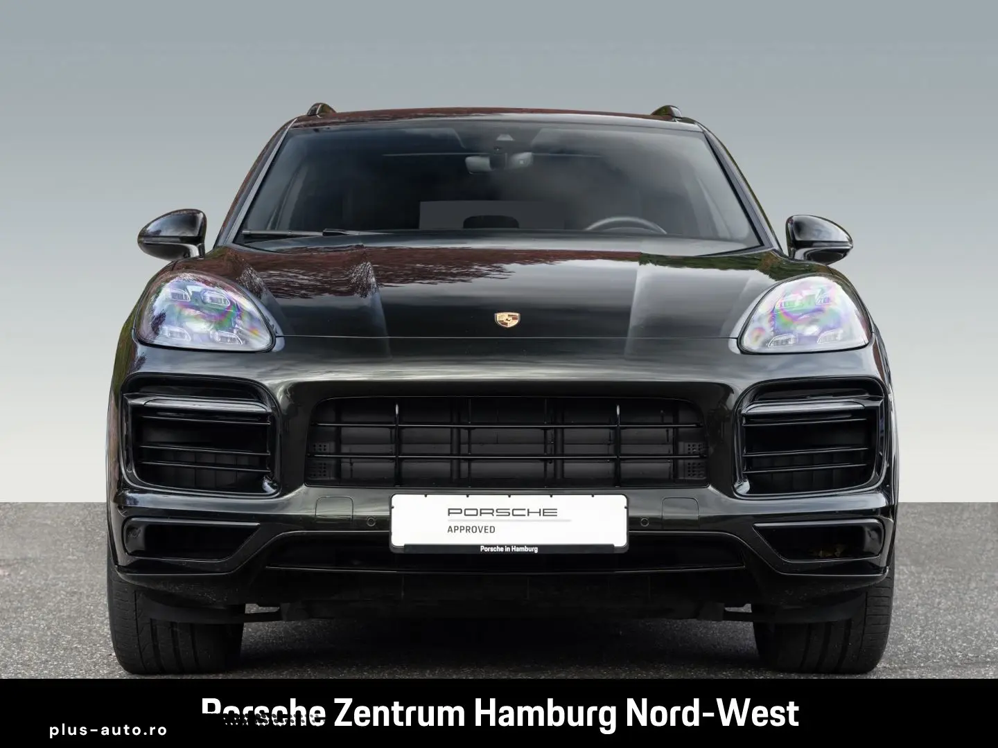 Cayenne E-Hybrid Platinum Edition  Panorama