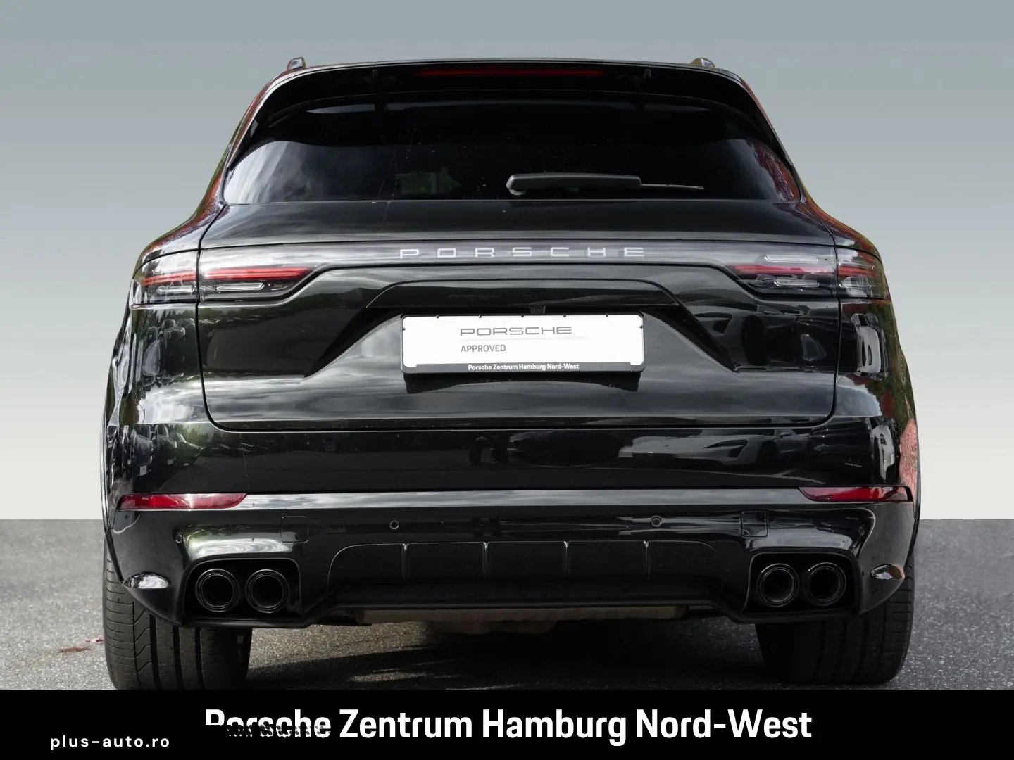 Cayenne E-Hybrid Platinum Edition  Panorama