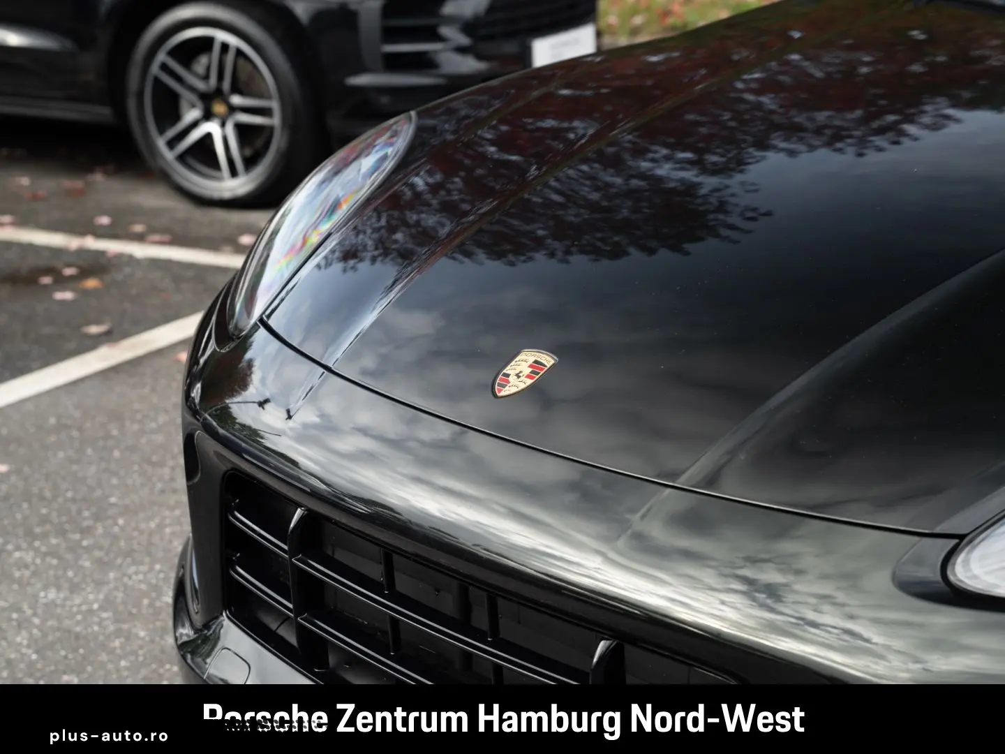 Cayenne E-Hybrid Platinum Edition  Panorama