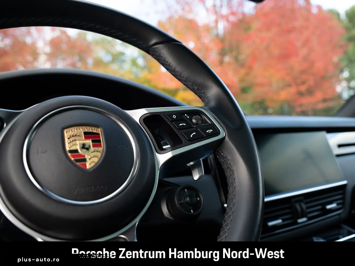 Cayenne E-Hybrid Platinum Edition  Panorama