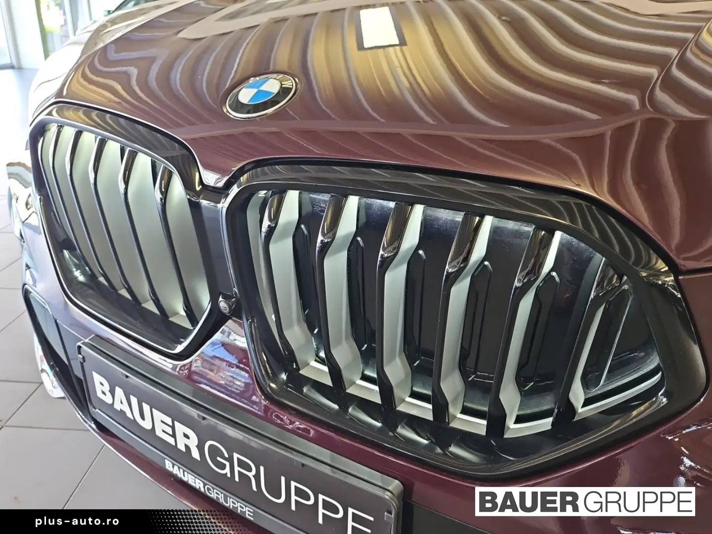 X6 M50 i B&W Standheiz. DA Prof Laser Pano 22''