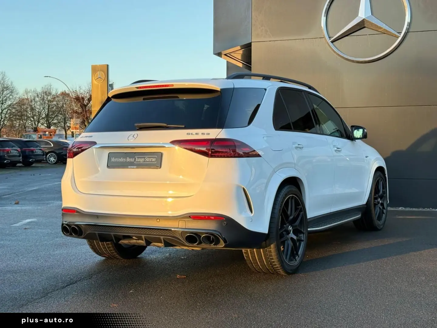 GLE 53 AMG 4M  AMG