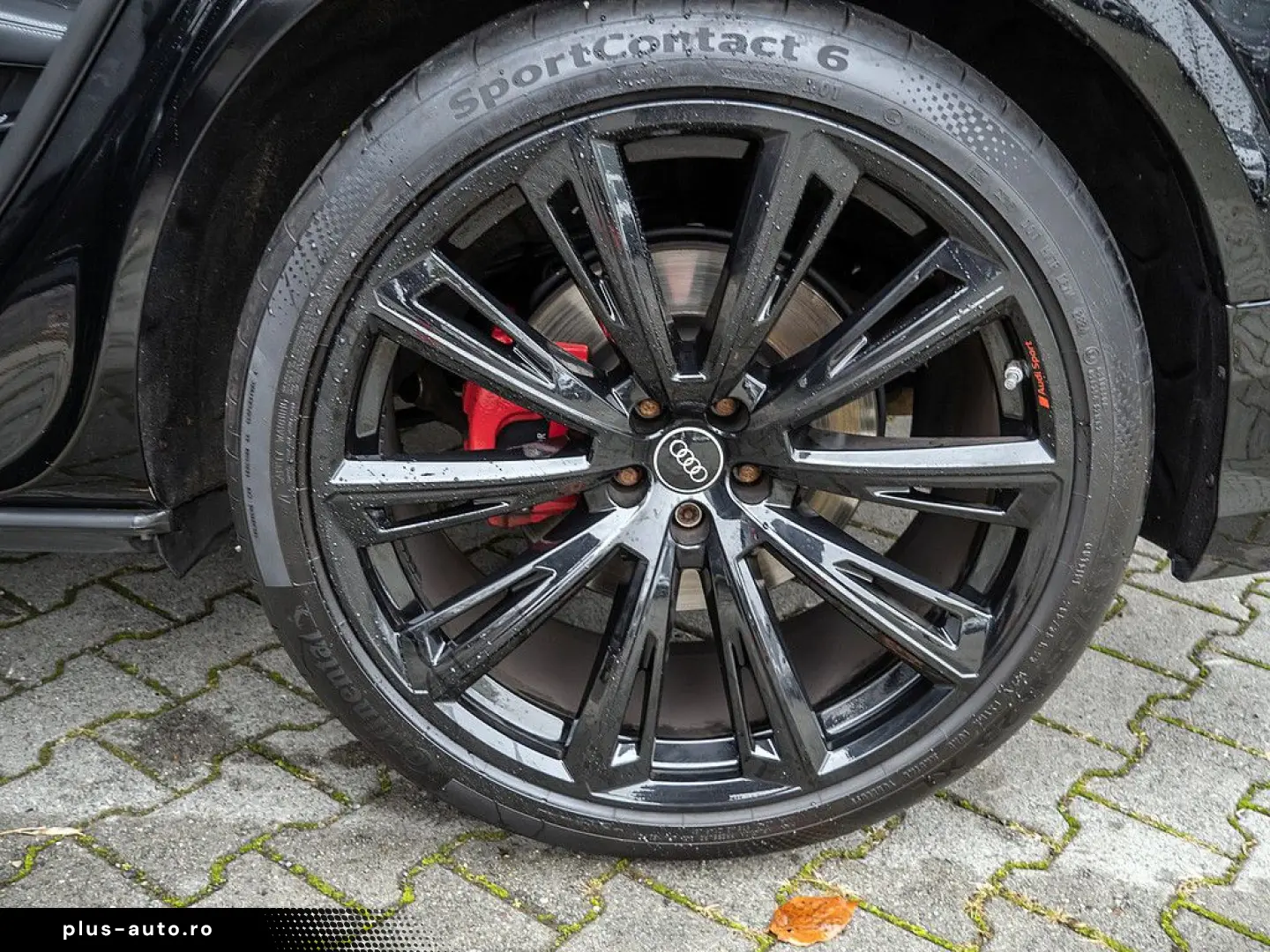 Q8 competition plus 50 TDI quattro MATRIX STANDH