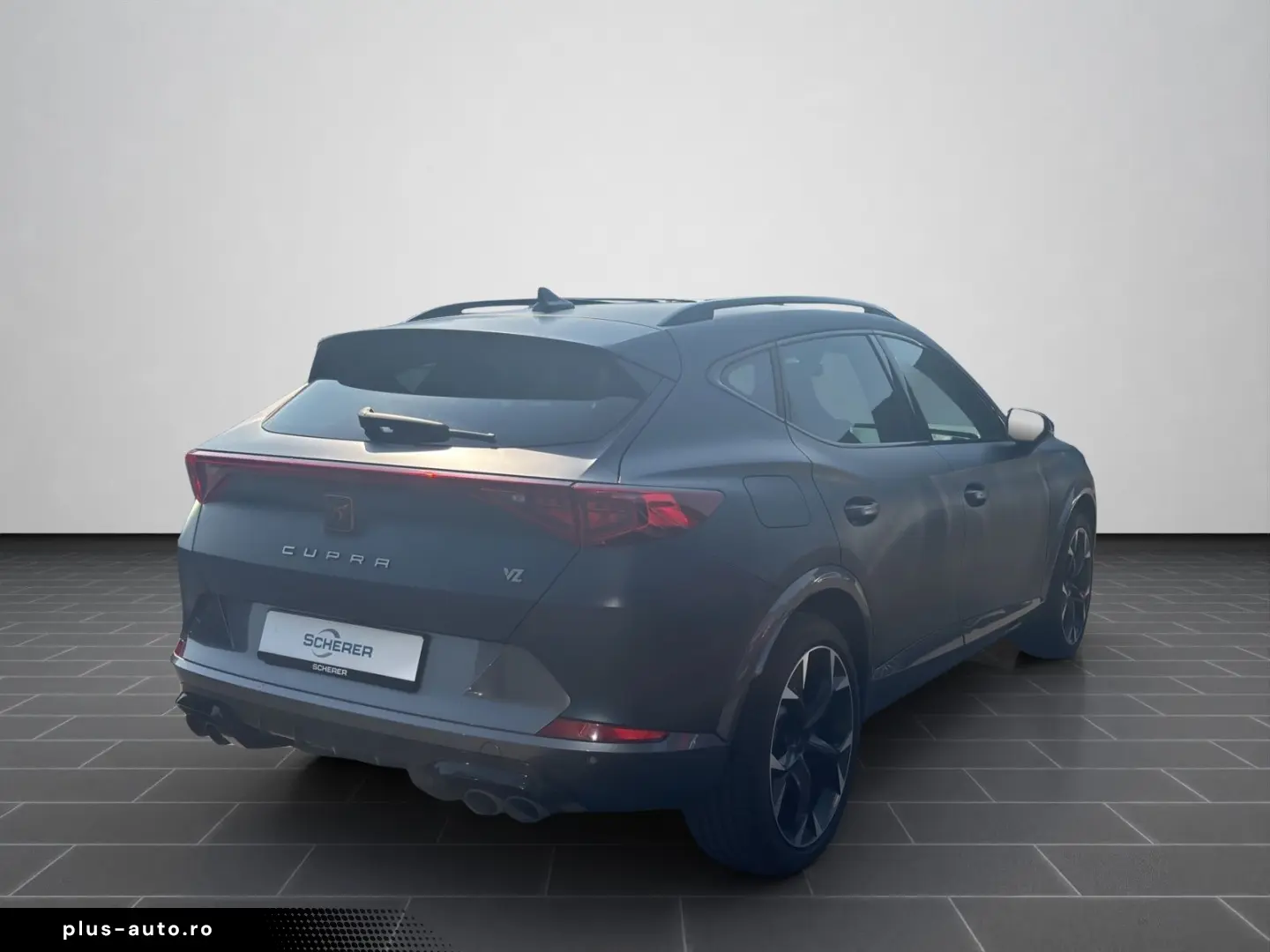 Formentor VZ 2.0 TSI  CUP  LEDER NAVI KAMERA ACC