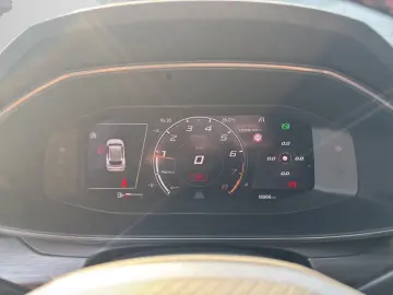 Formentor VZ 2.0 TSI  CUP  LEDER NAVI KAMERA ACC