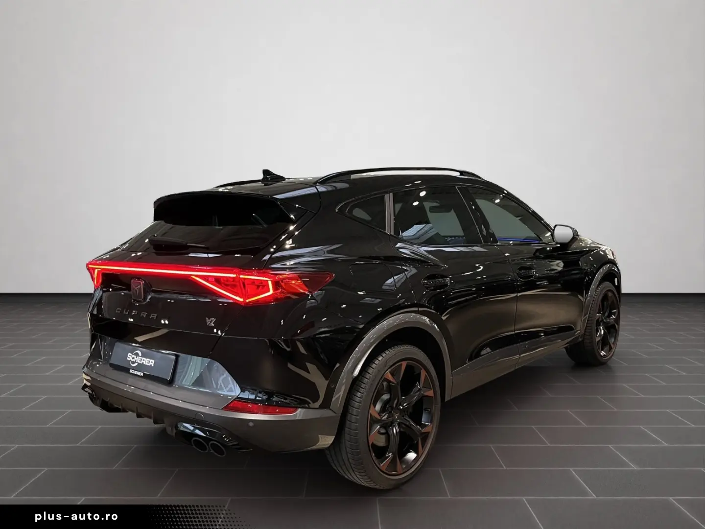 Formentor VZ 2.0 TSI 4DRIVE DSG  Rückfahrkamera