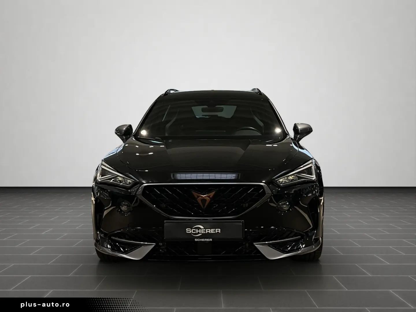 Formentor VZ 2.0 TSI 4DRIVE DSG  Rückfahrkamera