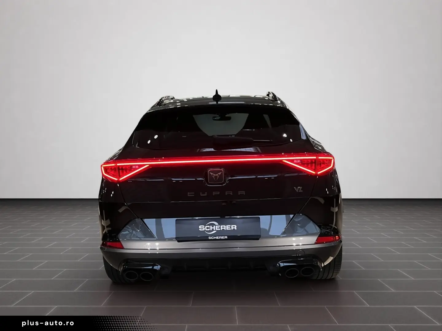 Formentor VZ 2.0 TSI 4DRIVE DSG  Rückfahrkamera