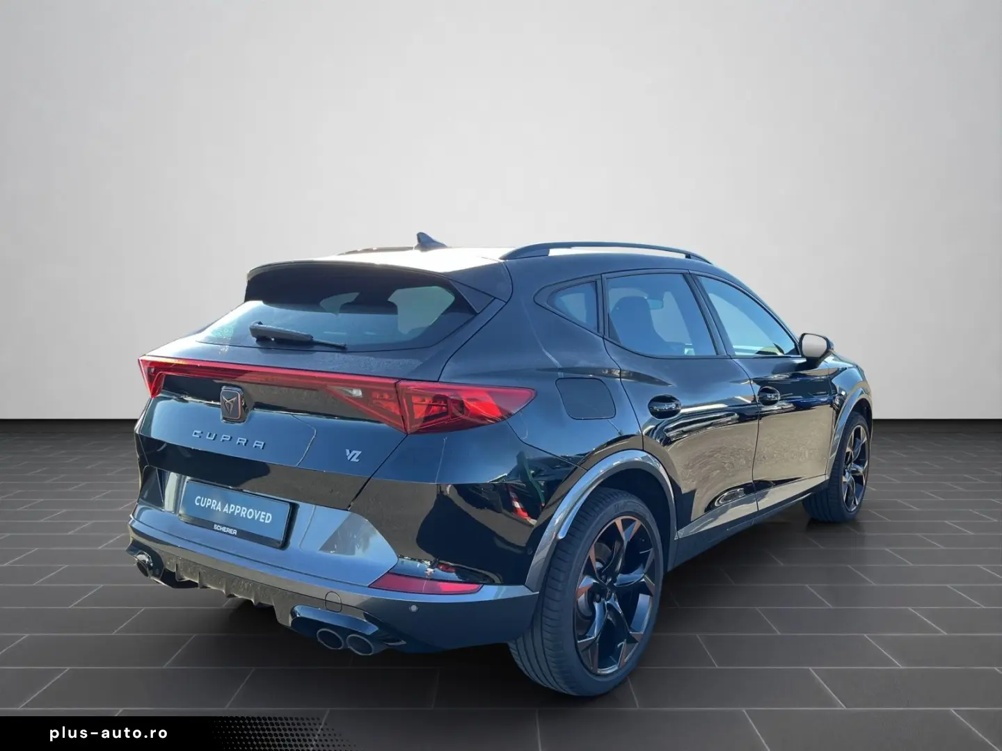 Formentor VZ 2.0 TSI 4D Full Link 19Zoll KAM SHZ