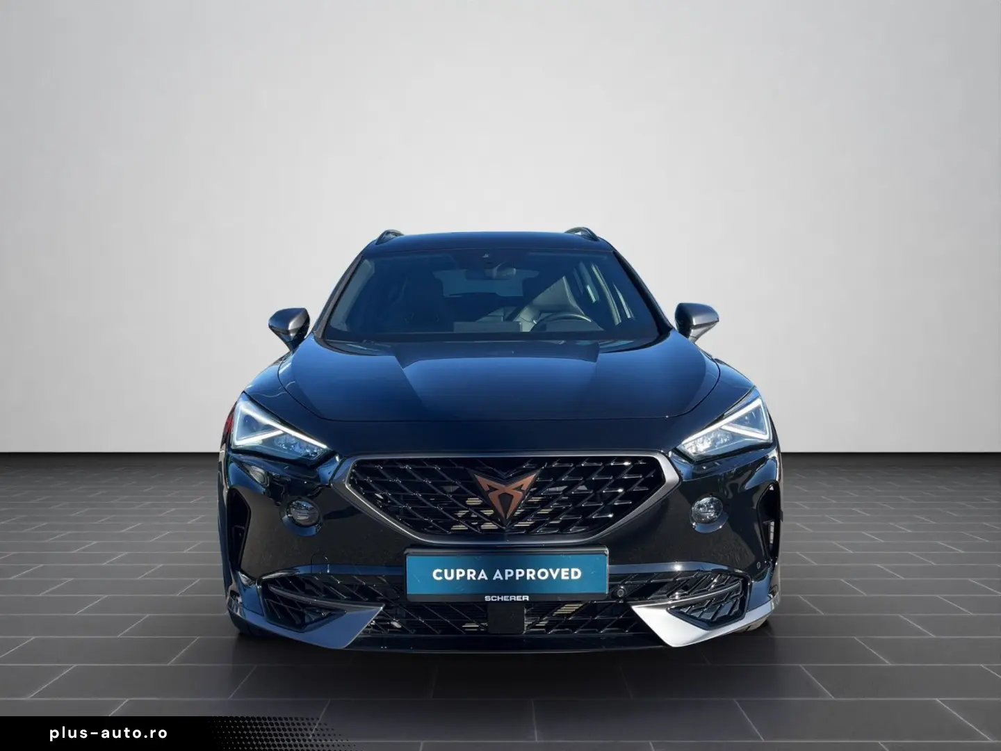 Formentor VZ 2.0 TSI 4D Full Link 19Zoll KAM SHZ