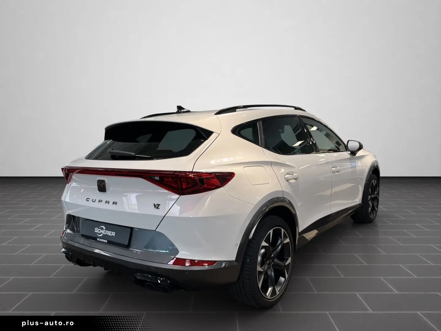 Formentor VZ 2.0 TSI 4Drive DSG Rückfahrkamera