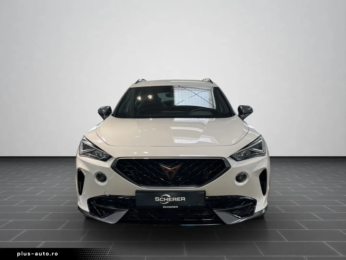 Formentor VZ 2.0 TSI 4Drive DSG Rückfahrkamera