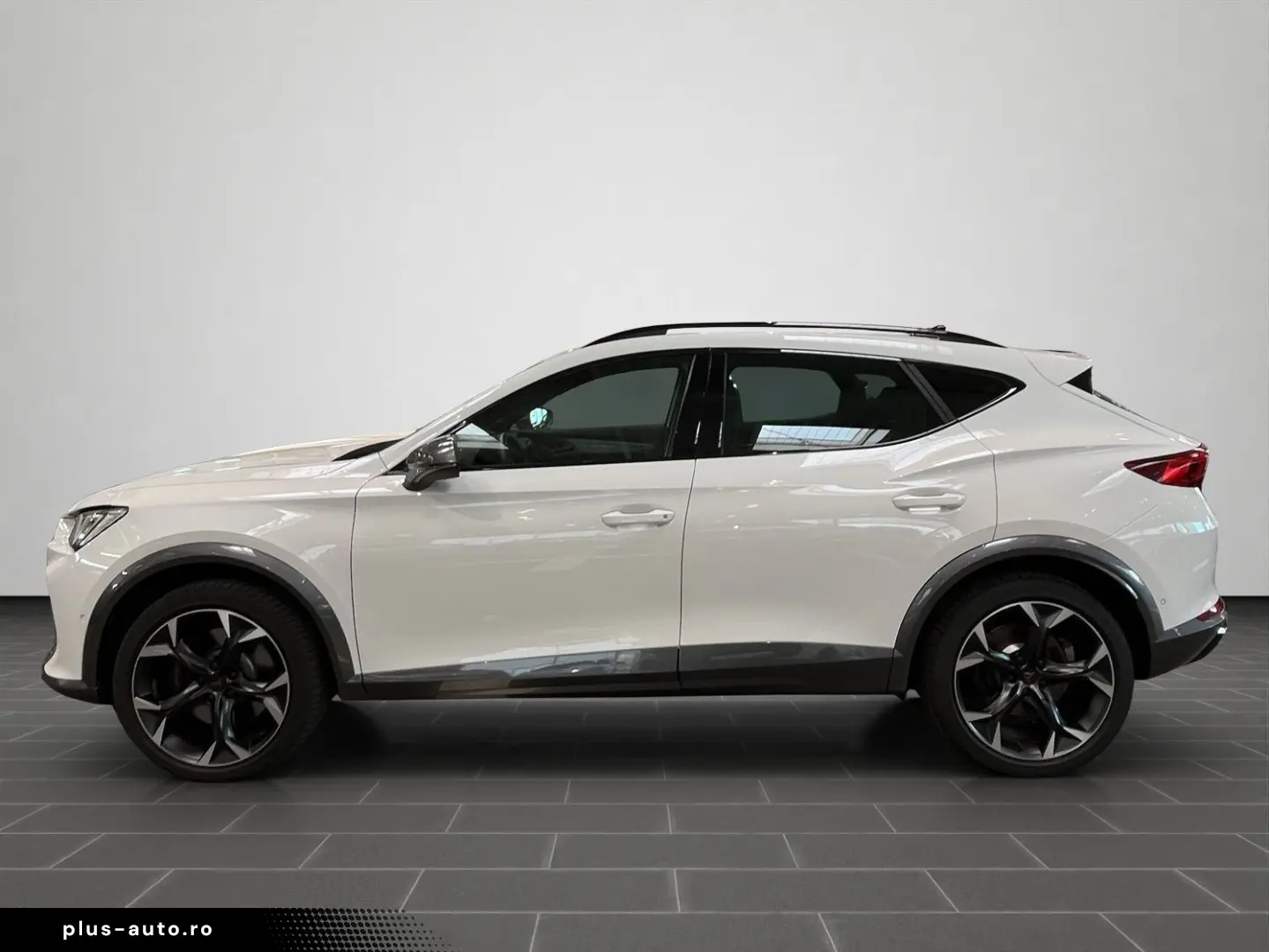 Formentor VZ 2.0 TSI 4Drive DSG Rückfahrkamera