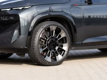 XM Label - DrivAssProf ParkAss