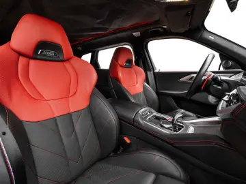 XM Label - DrivAssProf ParkAss