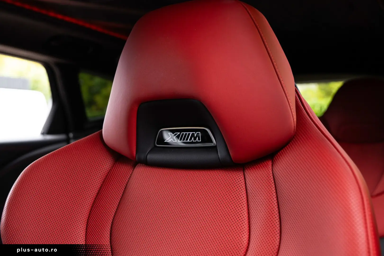 XM Label - DrivAssProf ParkAss