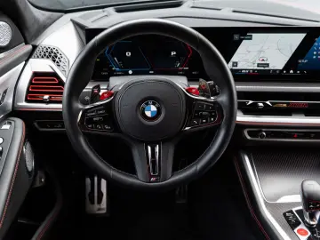 XM Label - DrivAssProf ParkAss