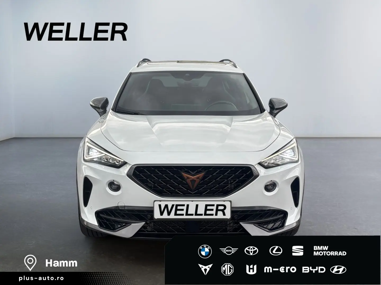 Formentor VZ 2.0 TSI 4Dr DSG  AHK BREMBO Leder