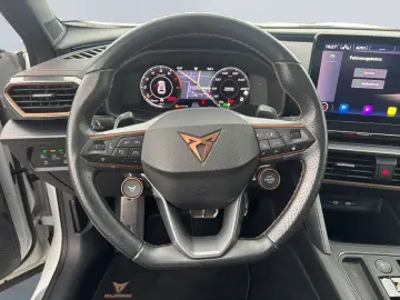 Formentor VZ 2.0 TSI 4Dr DSG  AHK BREMBO Leder