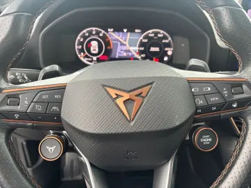 Formentor VZ 2.0 TSI 4Dr DSG  AHK BREMBO Leder