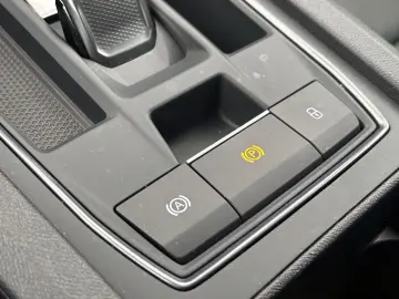 Formentor VZ 2.0 TSI 4Dr DSG  AHK BREMBO Leder