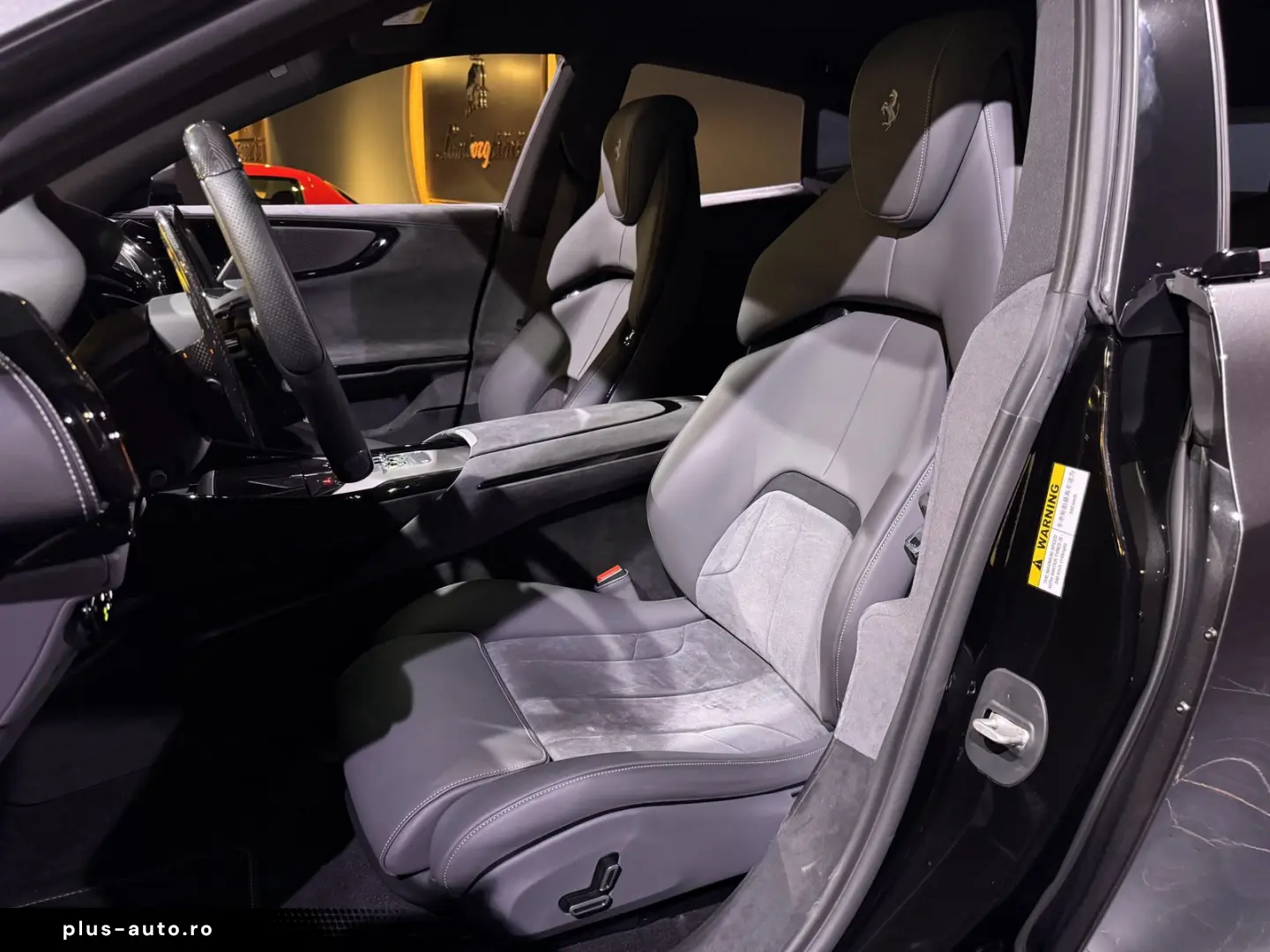 Purosangue Carbon 1. Hand unfallfrei MwSt.