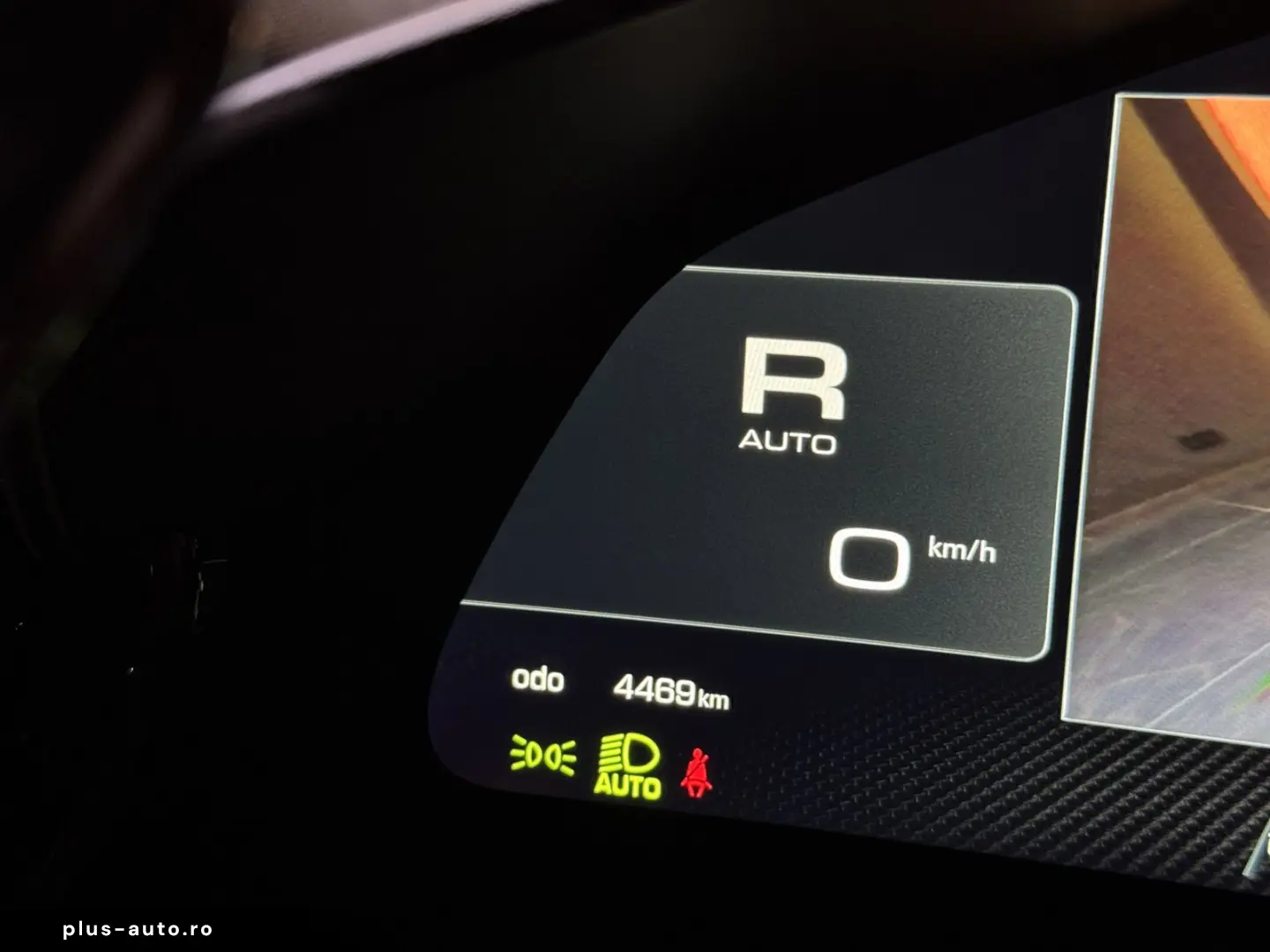 Purosangue Carbon 1. Hand unfallfrei MwSt.